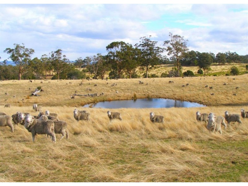 - Josephs Road, Carlton TAS 7173