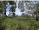 Lot 3 Old Forcett Road, Dodges Ferry TAS 7173