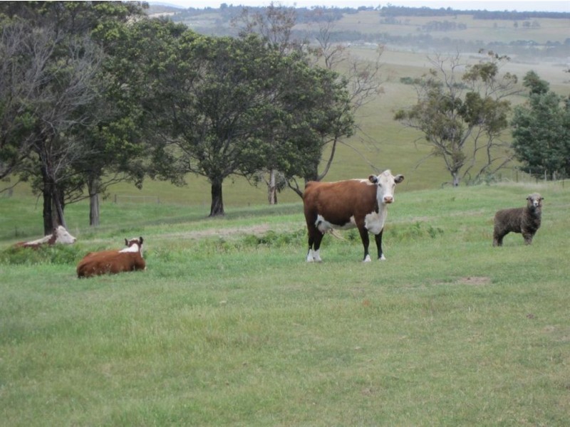 378 Delmore Road, Forcett TAS 7173