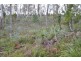 3 Deborah Lane, Dodges Ferry TAS 7173