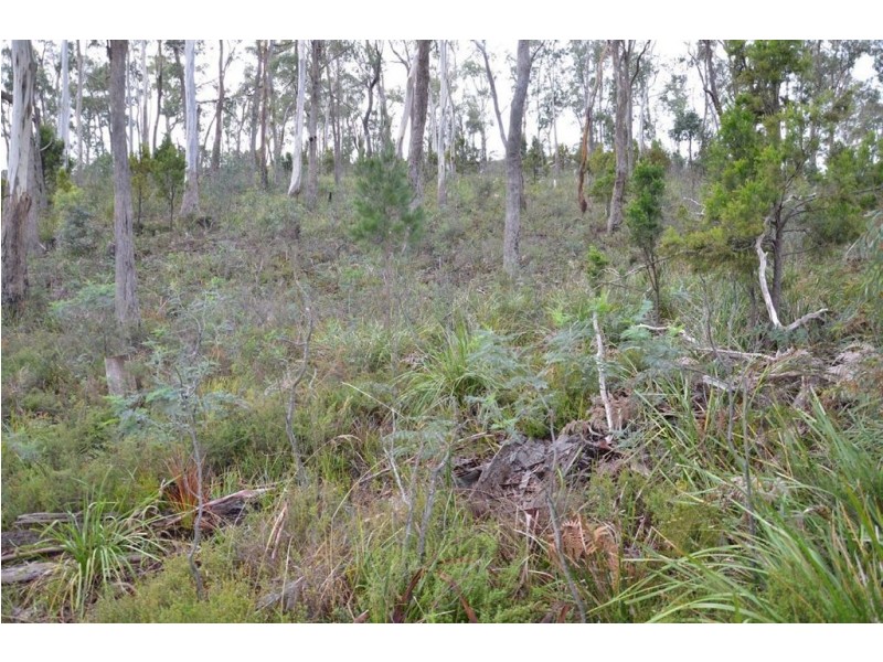 3 Deborah Lane, Dodges Ferry TAS 7173