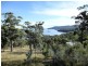 159 White Beach Road, White Beach TAS 7184
