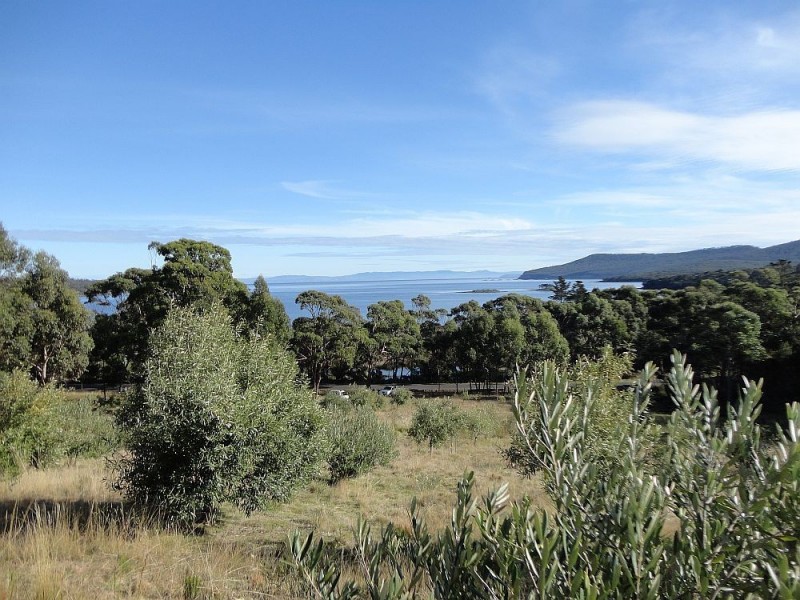 159 White Beach Road, White Beach TAS 7184