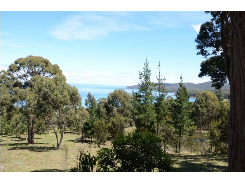 159 White Beach Road, White Beach TAS 7184