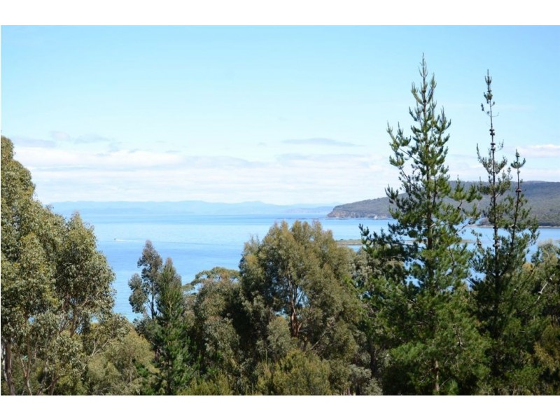 159 White Beach Road, White Beach TAS 7184