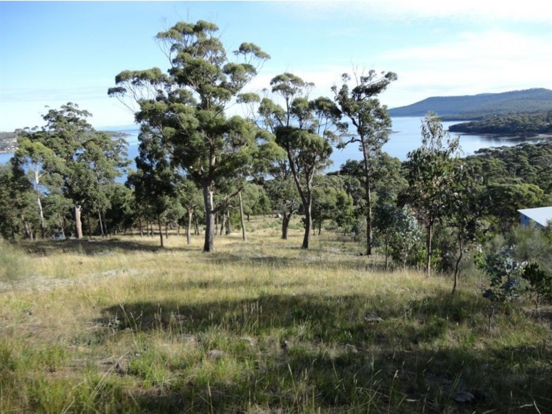 159 White Beach Road, White Beach TAS 7184