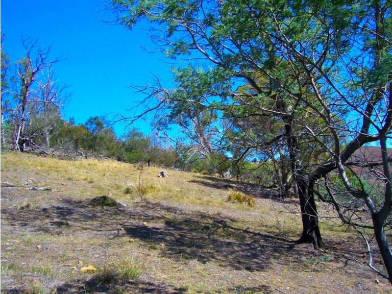 Lots 1 & 5 Link Road, Colebrook TAS 7027