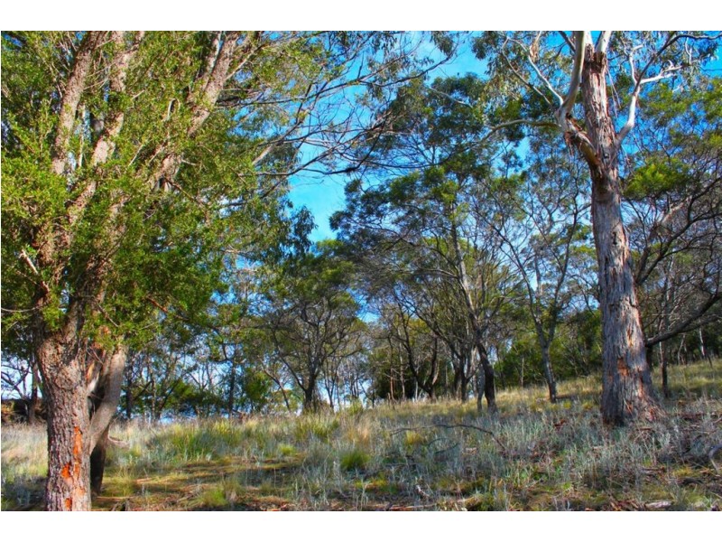 274 Acton Drive, Acton Park TAS 7170