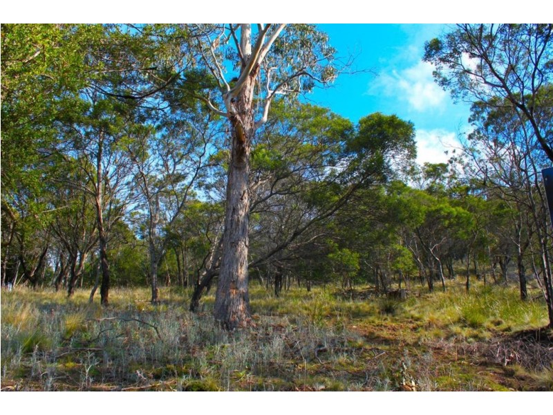 274 Acton Drive, Acton Park TAS 7170