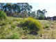9 Kestrel Street, Primrose Sands TAS 7173