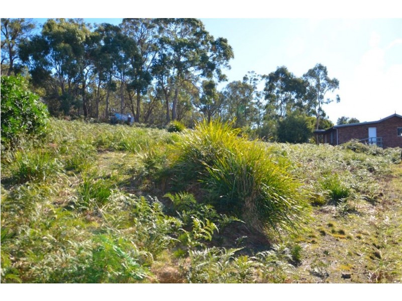 9 Kestrel Street, Primrose Sands TAS 7173