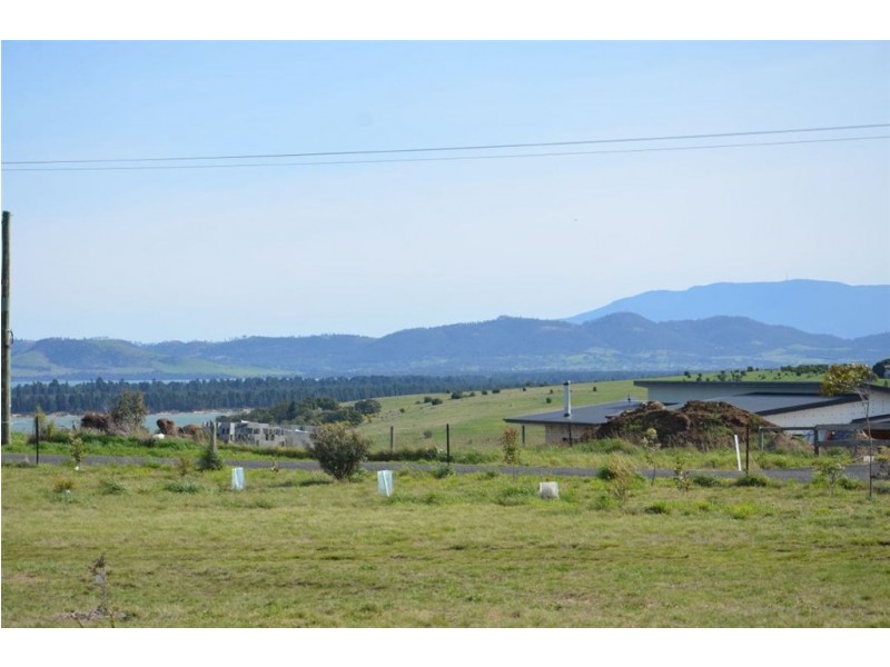 4 Cherry Court, Forcett TAS 7173