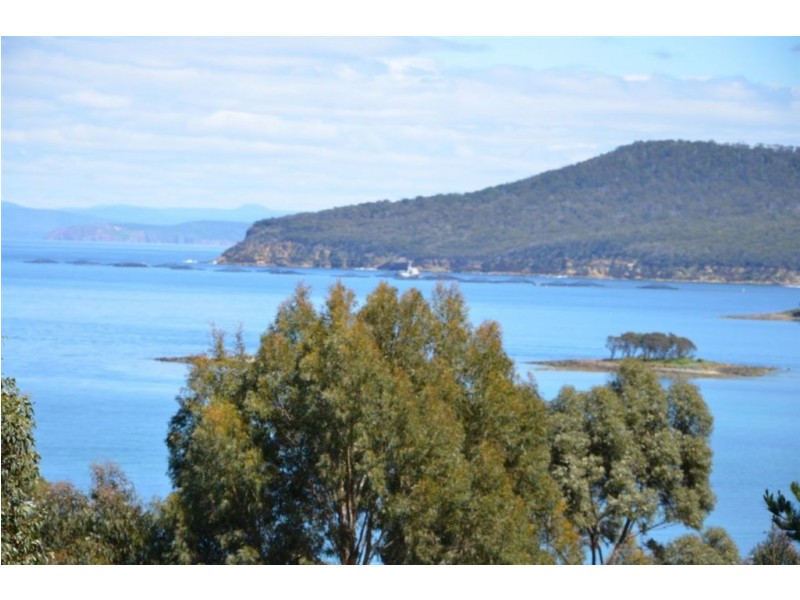 159 White Beach Road, White Beach TAS 7184