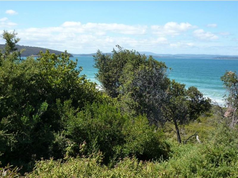 93 Carlton Beach Road, Dodges Ferry TAS 7173