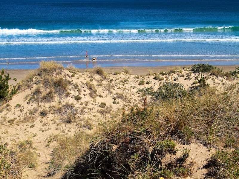 241 Carlton Beach Road, Carlton TAS 7173