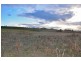 Lot 1 Blackwood Drive, Forcett TAS 7173