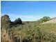 8 Chaffeys Drive, Dodges Ferry TAS 7173