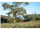 32 Riviera Drive, Carlton TAS 7173