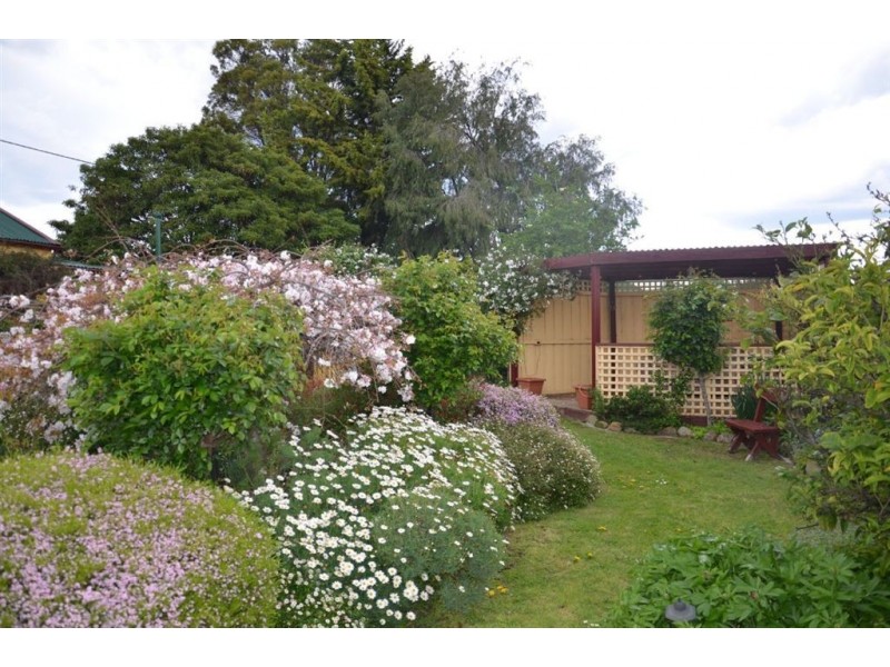 29 Walker Street, Sorell TAS 7172