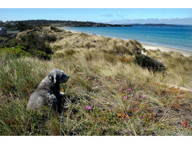 9 Grebe Street, Primrose Sands TAS 7173