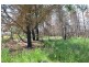 11, 12, 13 Bay Road, Boomer Bay TAS 7177