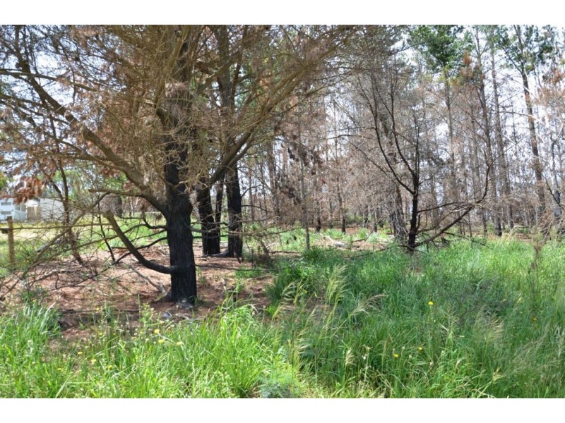 11, 12, 13 Bay Road, Boomer Bay TAS 7177