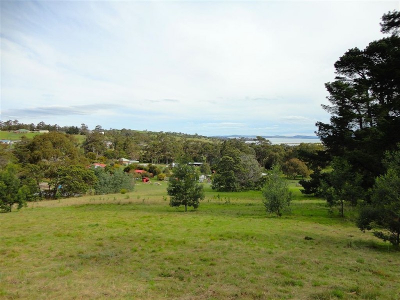 219 Old Forcett Road, Forcett TAS 7173