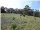 219 Old Forcett Road, Forcett TAS 7173