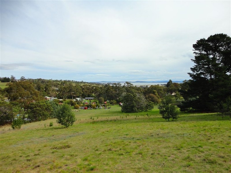 219 Old Forcett Road, Forcett TAS 7173