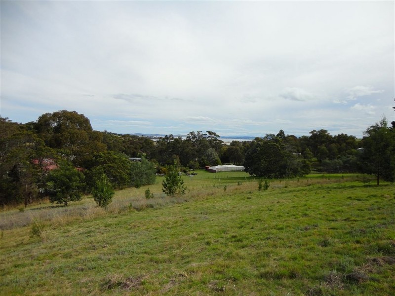 219 Old Forcett Road, Forcett TAS 7173