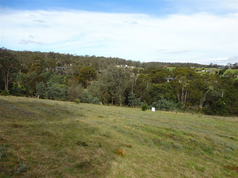 219 Old Forcett Road, Forcett TAS 7173