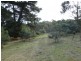 219 Old Forcett Road, Forcett TAS 7173