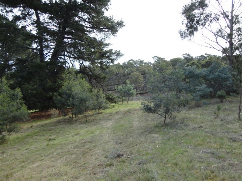 219 Old Forcett Road, Forcett TAS 7173
