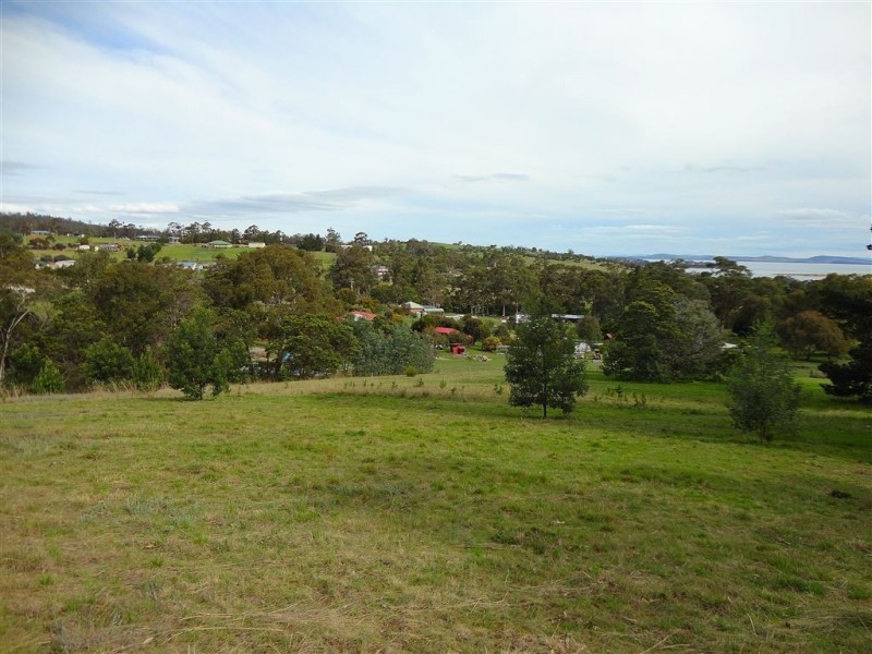 219 Old Forcett Road, Forcett TAS 7173