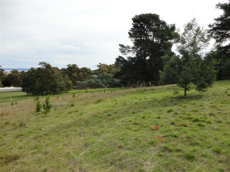 219 Old Forcett Road, Forcett TAS 7173