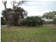 22 Rotuli Street, Dodges Ferry TAS 7173