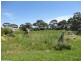 6 Terry Street, Carlton TAS 7173