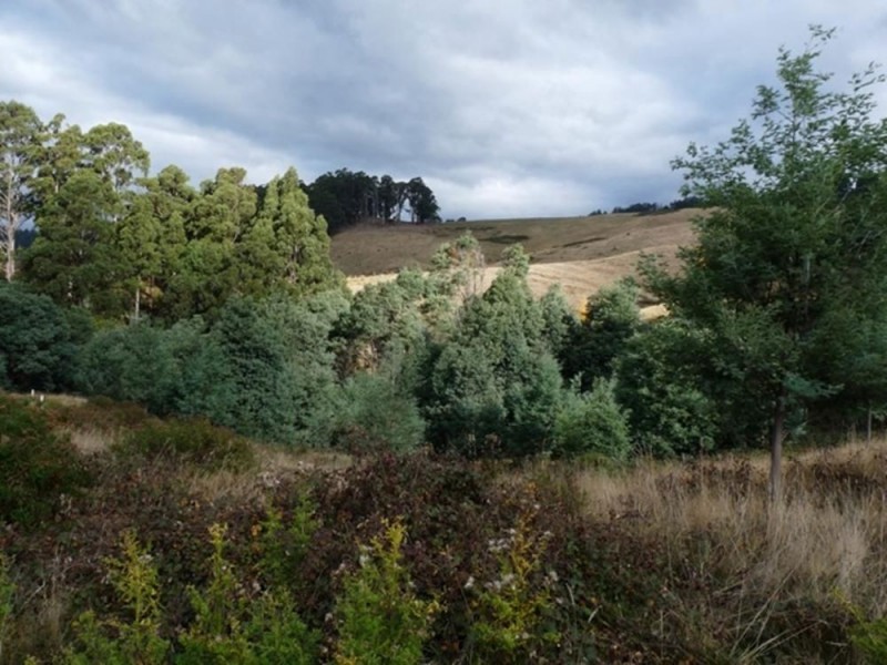 0 Lightwood Creek Road, Glen Huon TAS 7109