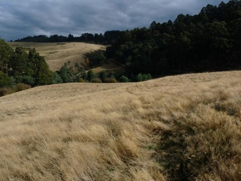 0 Lightwood Creek Road, Glen Huon TAS 7109
