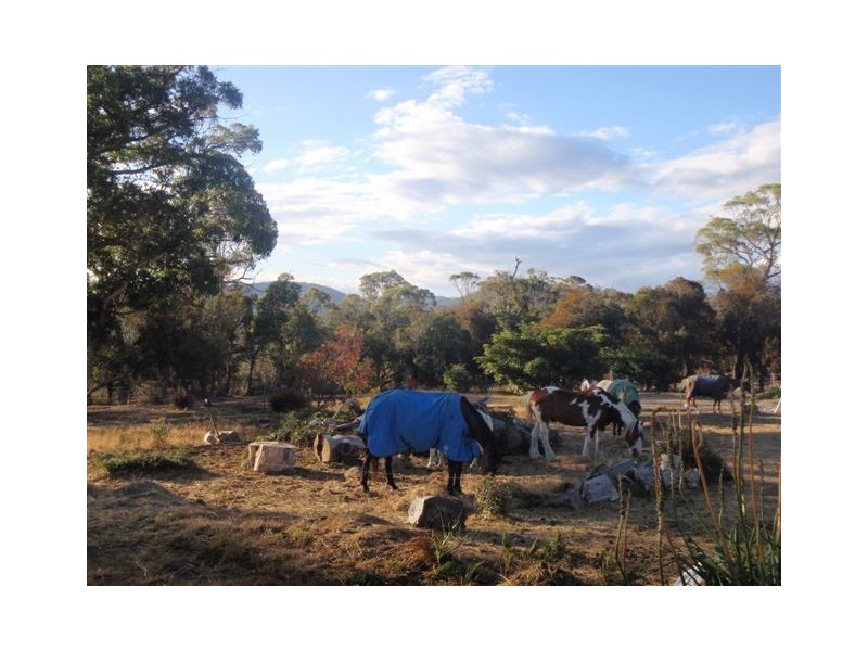 2526 Arthur Highway, Copping TAS 7174