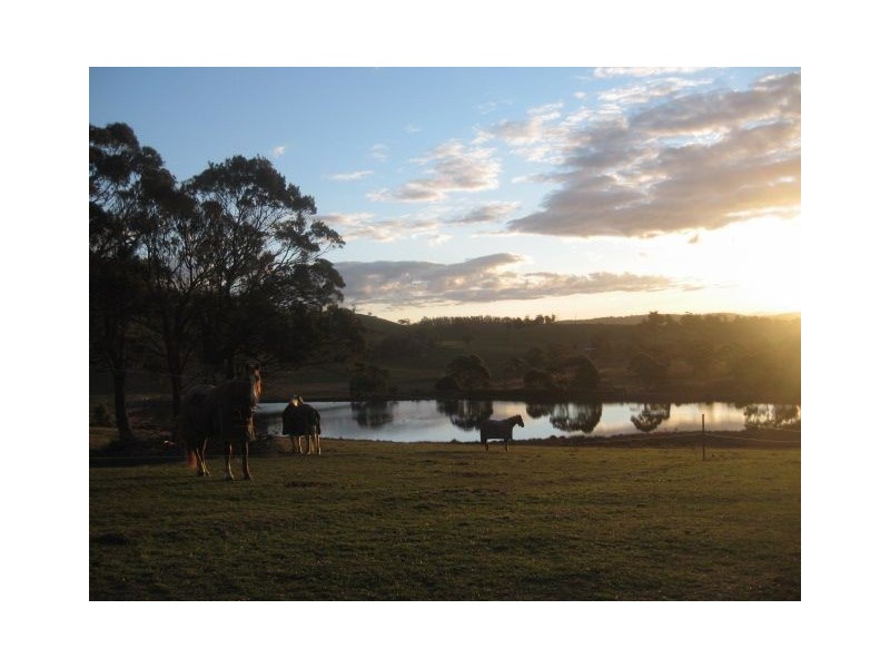 2526 Arthur Highway, Copping TAS 7174