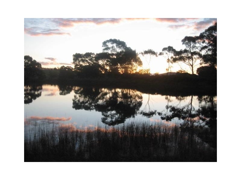 2526 Arthur Highway, Copping TAS 7174