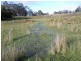 2526 Arthur Highway, Copping TAS 7174