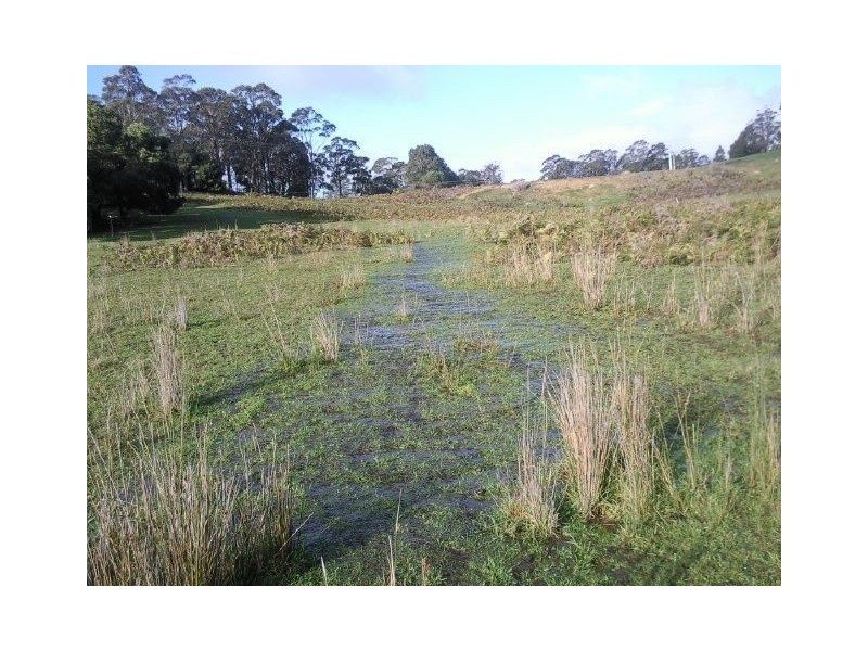 2526 Arthur Highway, Copping TAS 7174