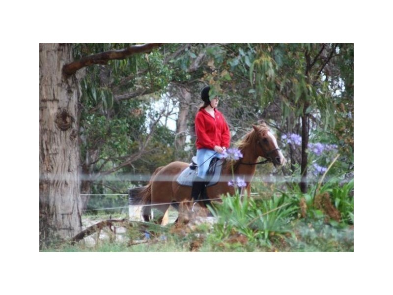 2526 Arthur Highway, Copping TAS 7174