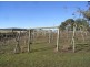 100 Old Forcett Road, Forcett TAS 7173