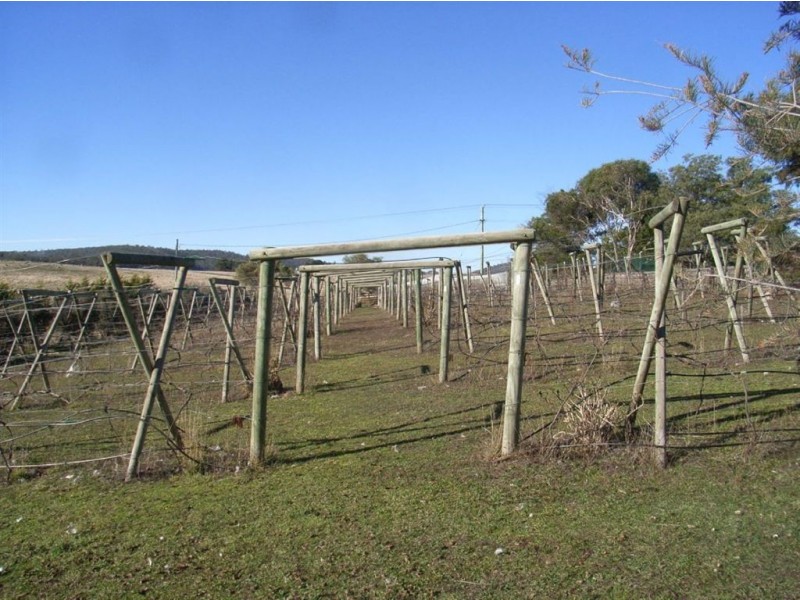 100 Old Forcett Road, Forcett TAS 7173
