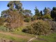 100 Old Forcett Road, Forcett TAS 7173