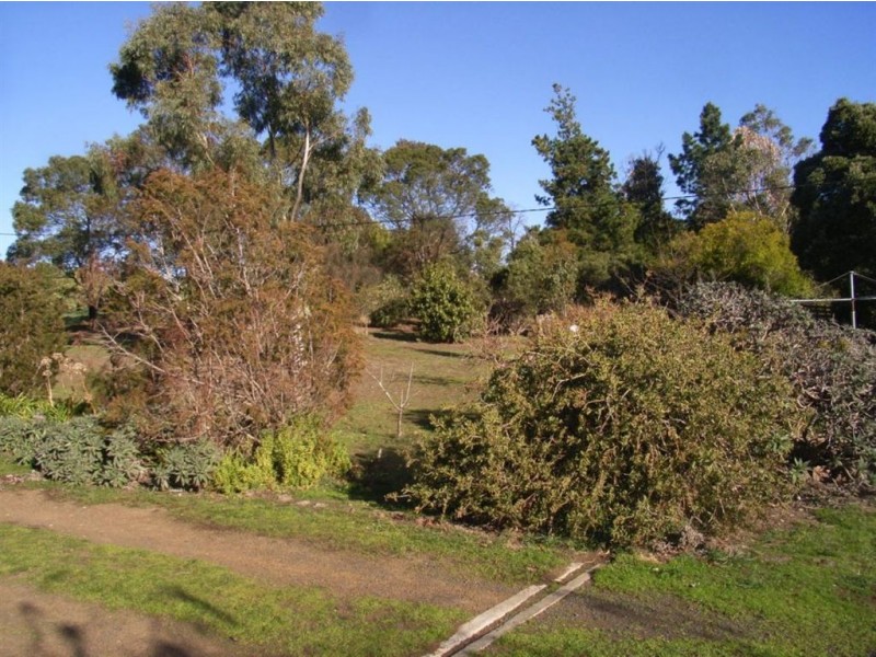 100 Old Forcett Road, Forcett TAS 7173