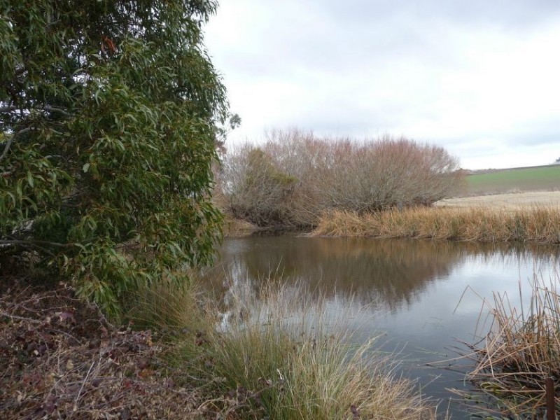 1396 Colebrook Road, Campania TAS 7026